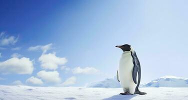 ai gegenereerd pinguïn staand in antarctica op zoek in de blauw lucht. ai gegenereerd foto