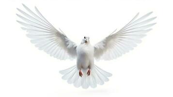 ai gegenereerd wit duif geïsoleerd Aan de minimalistische achtergrond. vrede, goddelijk, liefde, vruchtbaarheid concept foto