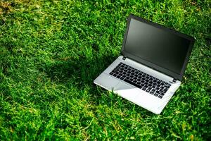 laptop met blanco scherm Aan groen gazon foto