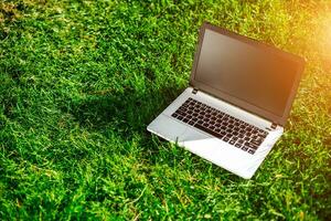 laptop met blanco scherm Aan groen gazon foto