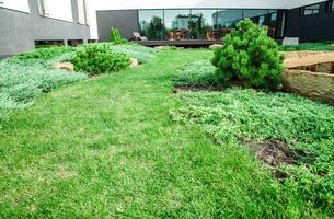 achtertuin met landschapsarchitectuur. foto