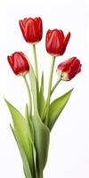 ai gegenereerd rood tulpen geïsoleerd Aan wit achtergrond. ai gegenereerd foto