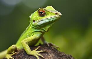 ai gegenereerd bronchocela cristatella, ook bekend net zo de groen kuif- hagedis. generatief ai foto