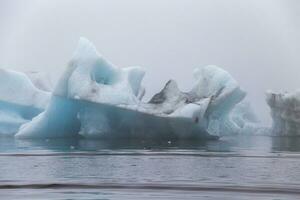 de diamant strand in ijsland.image bevat weinig lawaai omdat van hoog iso reeks Aan camera. foto