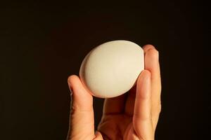 wit kip ei in een vrouw hand. foto