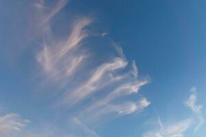 cirrus wolk met blauw lucht. foto