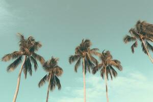 ai gegenereerd een groep van palm bomen en een blauw lucht tegen hen foto