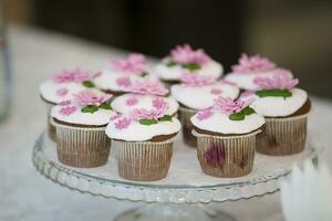 taart voor een buffet tafel. een groep van klein cupcakes versierd met roze room bloemen. foto