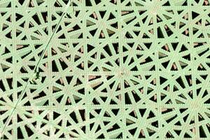 een groen traliewerk patroon met een weinig gaten foto