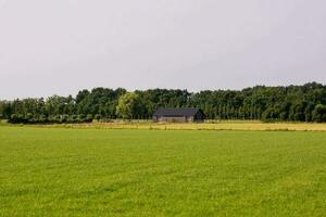 een boerderij in de midden- van een veld- foto