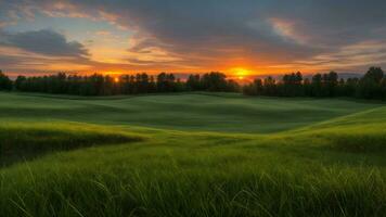 ai gegenereerd een mooi zonsondergang over- een groen veld- foto