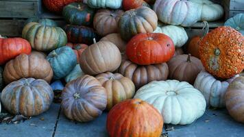 de stapel van pompoenen in de markt voordat de halloween dag foto