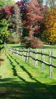 de hout hek visie met de groen weide en kleurrijk bomen net zo achtergrond in herfst foto