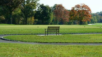 de mooi herfst visie met de kleurrijk bomen en bladeren in de park foto