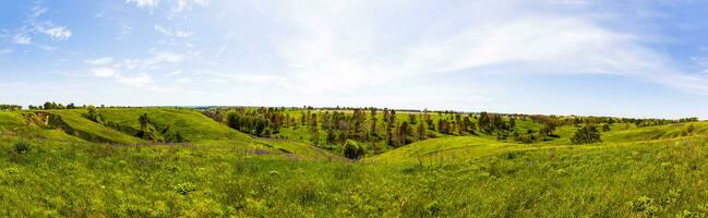 groen vers gras Aan blauw lucht panorama. klaar naar gebruik foto