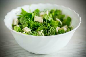 vers groen sla salade met Mozzarella en kruiden in een kom foto