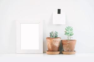 vetplanten of cactus in kleipotten op witte achtergrond op de plank en mock-up framefoto foto