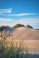 onaangeroerd duinen Bij de Deens kust foto