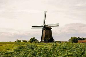 een windmolen in de midden- van een veld- met hoog gras foto