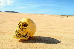 een schedel zittend in de zand Aan een woestijn foto