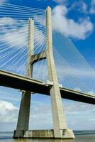 de brug overspanningen over- de water en heeft een groot kabel foto