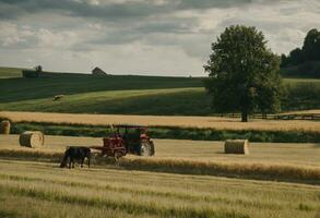 ai gegenereerd een tapijtwerk van landelijk leven verkennen de essence van Pools boerderij tradities foto