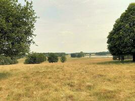 een visie van de Cheshire platteland in de zomer in de buurt knusford foto