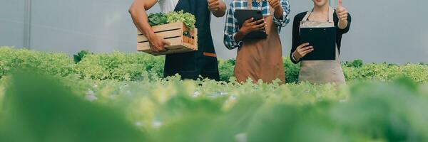 jong Aziatisch vrouw en senior Mens boer werken samen in biologisch hydrocultuur salade groente boerderij. modern groente tuin eigenaar gebruik makend van digitaal tablet inspecteren kwaliteit van sla in kas tuin. foto