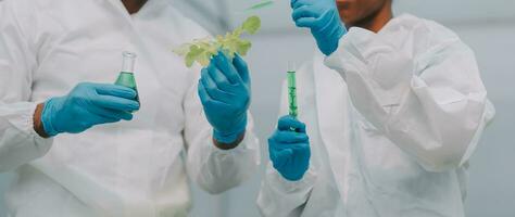 Mens en vrouw gebruik een test buis en een pipet terwijl werken in een serre. foto