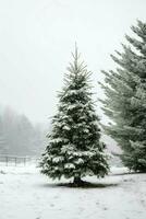 pijnboom bomen of versierd Kerstmis boom gedekt door sneeuw Aan mooi winter. Kerstmis thema buitenshuis door ai gegenereerd foto