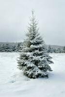 pijnboom bomen of versierd Kerstmis boom gedekt door sneeuw Aan mooi winter. Kerstmis thema buitenshuis door ai gegenereerd foto