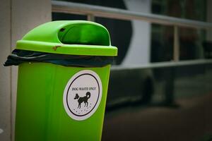 milieuvriendelijk bewust oplossing, deze groen uitschot bak met een wit sticker naar hond verspilling beschikbaarheid, markeren ecologisch opmerkzaamheid en de belang van schoonmaak omhoog na honden. foto