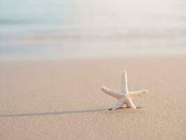 zeester Aan de strand met zee achtergrond foto