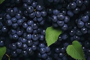 ai gegenereerd vlak leggen achtergrond van wijnstokken, veel van biologisch blauw donker druiven. ai gegenereerd foto