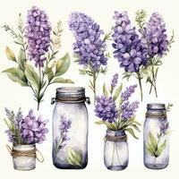 ai gegenereerd verzameling van waterverf metselaar potten met Purper bloemen clip art. ai gegenereerd foto