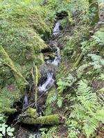 een visie van de noorden Wales platteland Bij meer vyrnwy foto