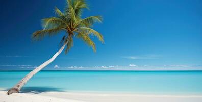 ai gegenereerd een beeld van een palm boom Aan een wit zanderig strand foto
