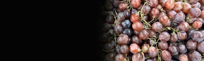 dichtbij omhoog van rauw biologisch zoet rood druiven achtergrond, wijn druiven textuur, gezond fruit rood wijn druiven achtergrond, top visie foto