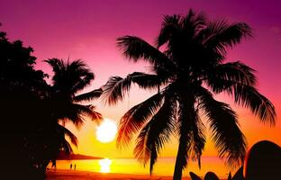 silhouet van mooi zonsondergang Aan de zee strand met palm boom voor reizen in vakantie kom tot rust tijd net zo zomer foto