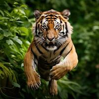 ai gegenereerd een majestueus Bengalen tijger, met haar opvallend oranje-zwart jas foto