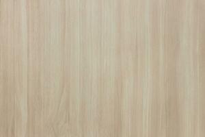 licht houten achtergrond en textuur. hout deur paneel. foto
