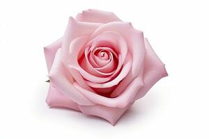 ai gegenereerd roze roos geïsoleerd Aan wit achtergrond. ai gegenereerd foto