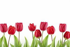 ai gegenereerd rood tulpen geïsoleerd Aan wit achtergrond. ai gegenereerd foto