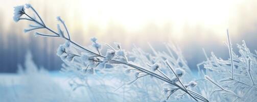 ai gegenereerd bevroren besneeuwd gras, winter natuurlijk abstract achtergrond. mooi winter landschap. ai gegenereerd foto