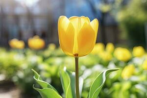 ai gegenereerd geel tulp in de tuin. ai gegenereerd foto