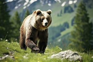 ai gegenereerd bruin beer in beweging Aan de groen weide in lente natuur. ai gegenereerd foto