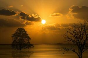 silhouetten van bomen met zonsondergang lucht Aan de meer in zuiden van Thailand. foto