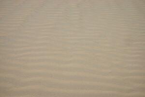 lijnen in het zand van een strand foto
