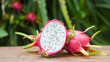 levendig geïsoleerd drakenfruit. exotisch tropisch fruit concept, biologisch en rijp, gezond draak fruit foto