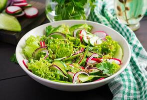 gezond veganistisch voedsel. vegetarisch groente salade van radijs, komkommers, sla en rood ui. foto